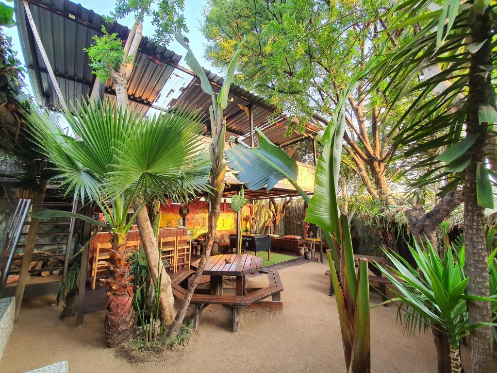 The vibrant and welcoming outdoor community area at Lebo's Soweto Backpackers.